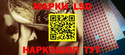 прущие грибы Вязники