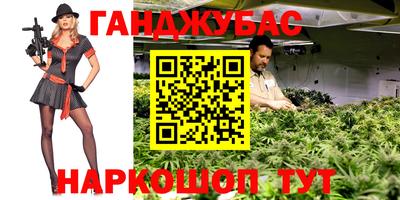 прущие грибы Вязники