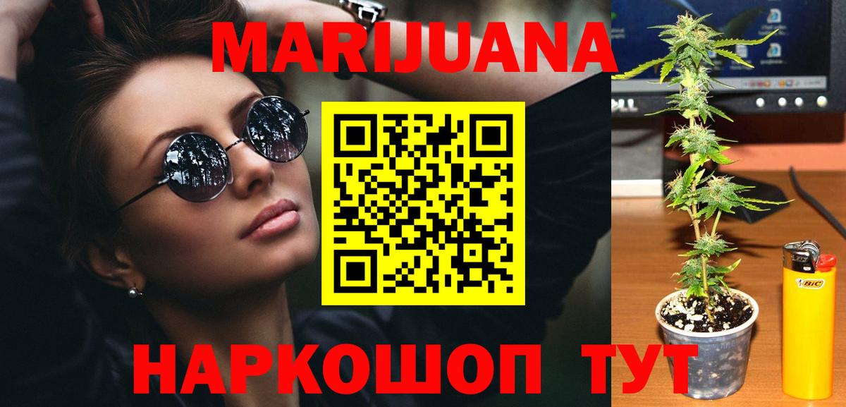Конопля индика  МАРИХУАНА сатива  Бошки Шишки Ganja  Благодарный  Вход с VPN 